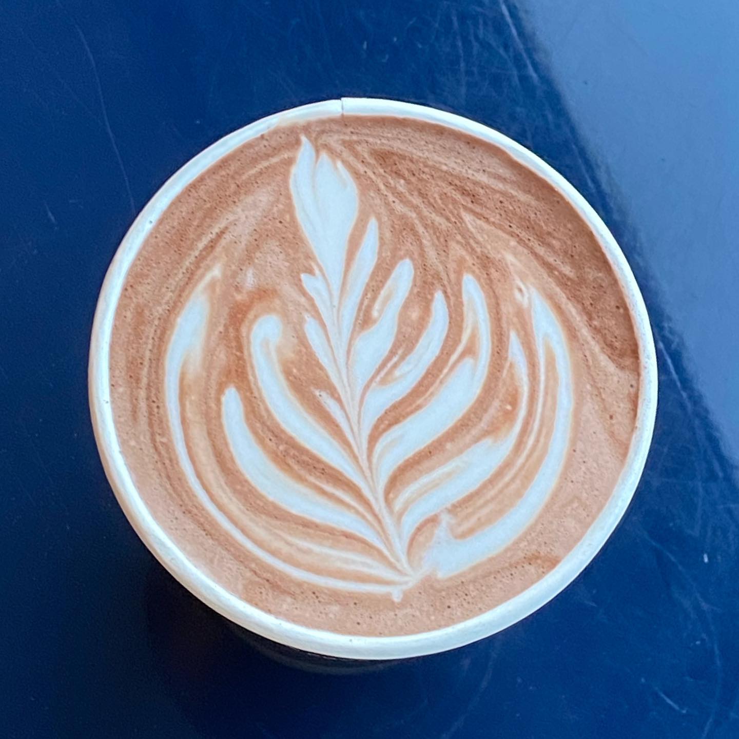 Speciality coffee in Malahide